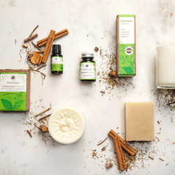 Cinnamon Cypress Aromatherapy Filled Candle Cinnamon Cypress Aromatherapy Filled Candle