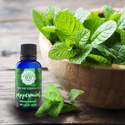 Peppermint Essential oil: 1oz Peppermint Essential oil: 1oz