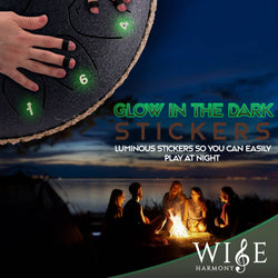 Wise Harmony Steel Tongue Rain Drum 12 Inch 13 Notes: Black Wise Harmony Steel Tongue Rain Drum 12 Inch 13 Notes: Black