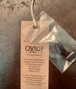 Agave: Extra-Small Agave: Extra-Small