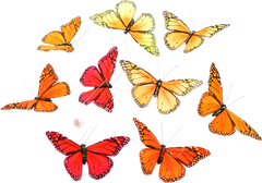 Monarch Style Garland - THH7001B