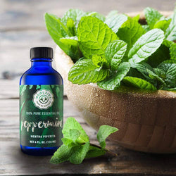 Peppermint Essential oil: 1oz Peppermint Essential oil: 1oz