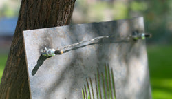 Owl: Medium Owl: Medium