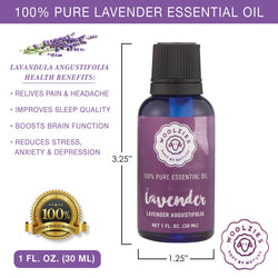 Lavender Essential Oil: 1oz Lavender Essential Oil: 1oz