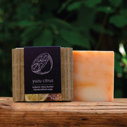 Organic Shea Butter Soap: Yuzu Citrus Organic Shea Butter Soap: Yuzu Citrus