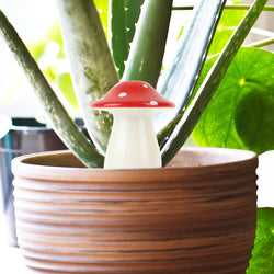 Mushroom Self Watering Plant Dispenser Mushroom Self Watering Plant Dispenser