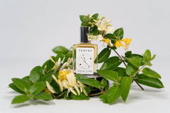 Taurus Zodiac Fragrance: 15 ml / Roll-on