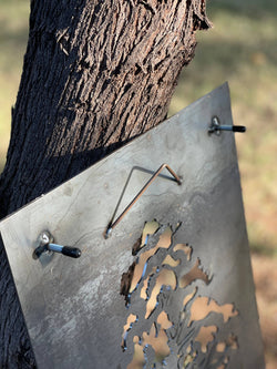 Agave: Small Agave: Small