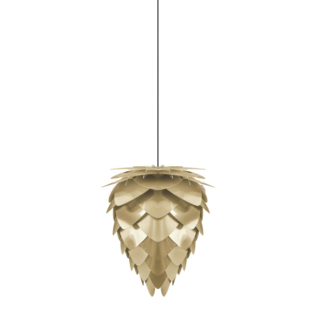 Conia Brass Medium Plug-In Pendant