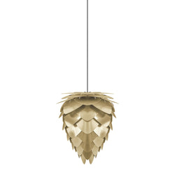 Black Cord Conia Brass Medium Plug-In Pendant, Black Cord