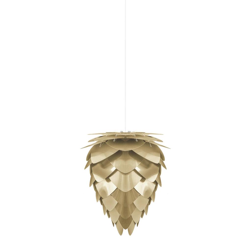 Conia Brass Medium Plug-In Pendant