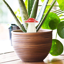 Mushroom Self Watering Plant Dispenser Mushroom Self Watering Plant Dispenser