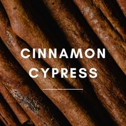 Cinnamon Cypress Aromatherapy Filled Candle Cinnamon Cypress Aromatherapy Filled Candle