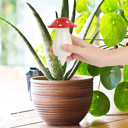 Mushroom Self Watering Plant Dispenser Mushroom Self Watering Plant Dispenser