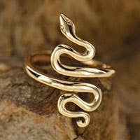 Adjustable Snake Ring: Bronze Adjustable Snake Ring: Bronze