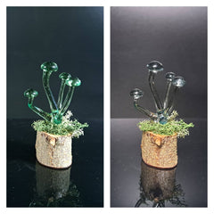 Mushroom Sculpture, Color Changing Mushrooms, Made to Order: Hydra