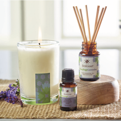 Cinnamon Cypress Aromatherapy Filled Candle Cinnamon Cypress Aromatherapy Filled Candle