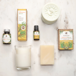 1 oz Reed Diffuser - Olibanum Spruce 1 oz Reed Diffuser - Olibanum Spruce