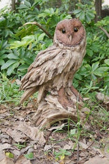 Driftwood Barn Owl On Stump Statue