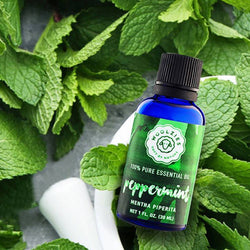 Peppermint Essential oil: 1oz Peppermint Essential oil: 1oz