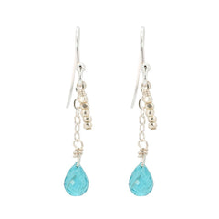 'Inspire Me' Apatite Briolette Dangle Earrings