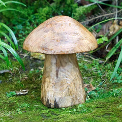 Teak Mushroom - Medium