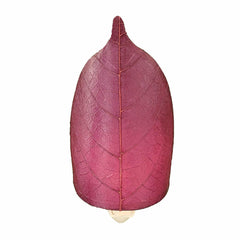 Leaf Night Light Purple