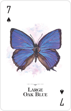 Butterflies of the World - Playing Cards