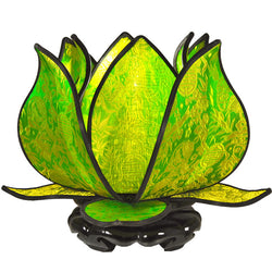 Lime Baby Blooming Lotus Lamp, Lime