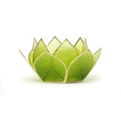 Peridot Capiz Lotus Stand Mini 5 Stand Set, Peridot