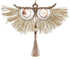Owl Raffia Capiz Wall Decor