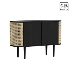 Treasures 2-Door Cabinet in Black Oak and French Cane Doors