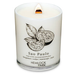 7.2oz Passport Candle: Aspen | blue spruce with juniper and birch