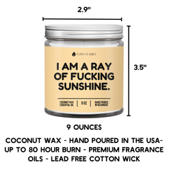 I Am A Ray Of F*cking Sunshine - Funny Flames Candle: 4oz