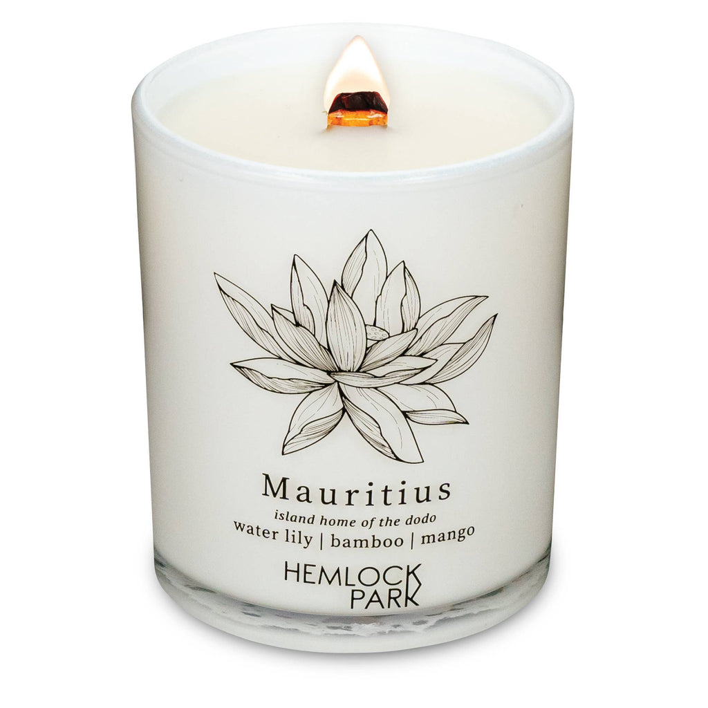 7.2oz Passport Candle: São Paulo | bergamot, cedar, maracujá, açaí