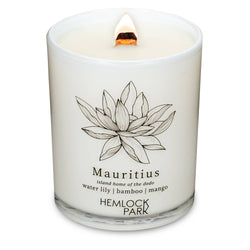 7.2oz Passport Candle: São Paulo | bergamot, cedar, maracujá, açaí