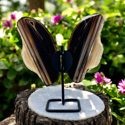 Shaped Crystals - Agate Slice Butterfly