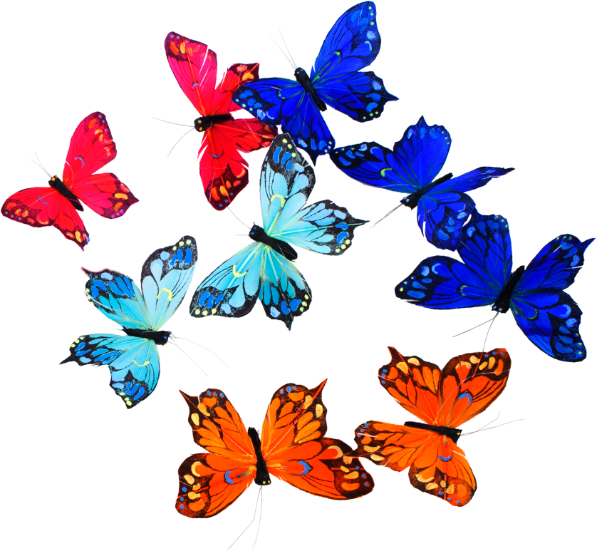 Butterflies Feather Garland - 555243