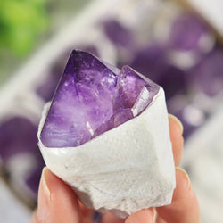 Amethyst Flat Points - Amethyst Crystal - Large sized pieces