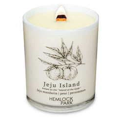 7.2oz Passport Candle: São Paulo | bergamot, cedar, maracujá, açaí