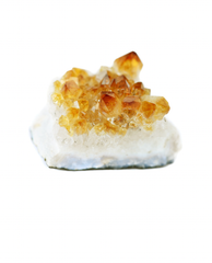 Citrine Druzy Crystal Clusters, Rocks and Crystals: Small