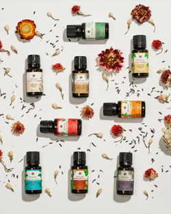 15 ml Cinnamon Cypress Aroma Blend