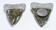 Marble Shark Tooth Magnet 2