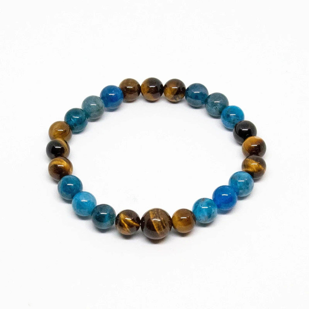 Apatite & Tiger's Eye Beaded Bracelet 6mm  - Small Wrist