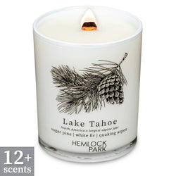 7.2oz Passport Candle: Aspen | blue spruce with juniper and birch