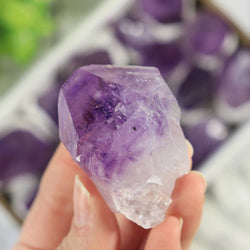 Amethyst Flat Points - Amethyst Crystal - Large sized pieces