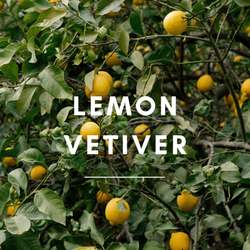 15 ml Lemon Vetiver Aroma Blend