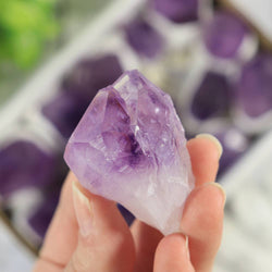 Amethyst Flat Points - Amethyst Crystal - Large sized pieces