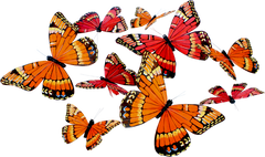 Monarch Jumbo Butterfly Garland - JL045