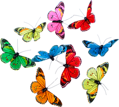 Butterfly Multicolor Garland - THH23